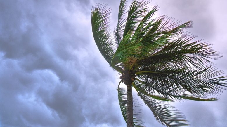 Image Hurricane Is Travel Safe to Mexico During Hurricane Season?